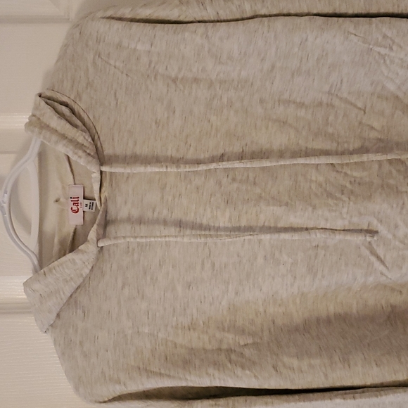 Gray Cropped Sweatshirt - Picture 1 of 10